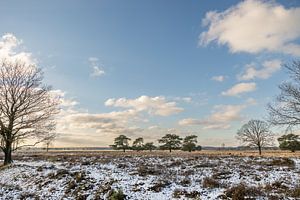 Winter in Drenthe - Nederland - Doldersum van Lydia