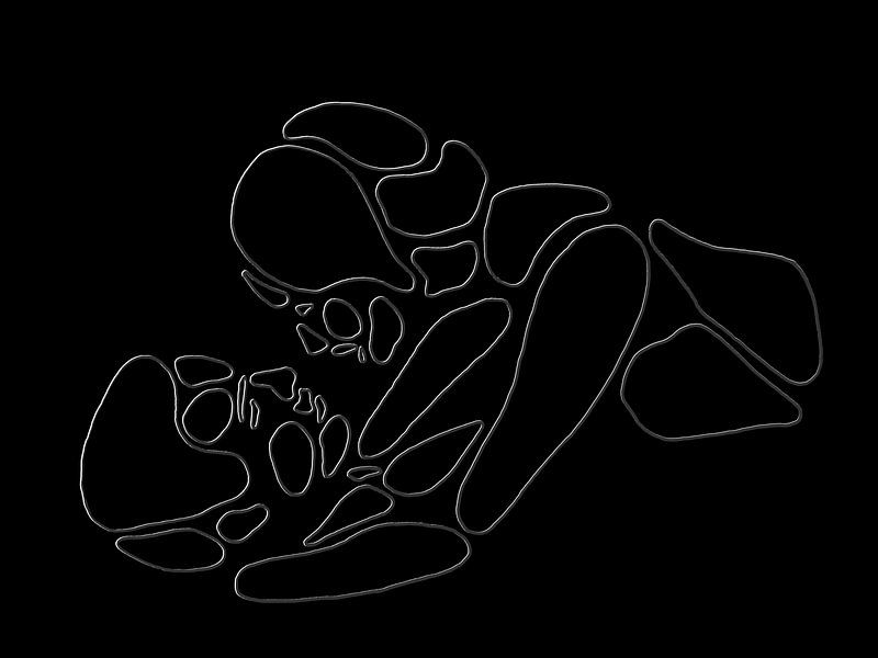 Wanneer het donker is (sexy lijntekening man vrouw liggend zwart darkroom vrijen verliefd line art) van Natalie Bruns