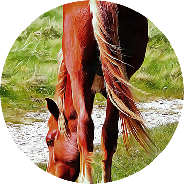 Paard Graceful Grazing van Dorothy Berry-Lound