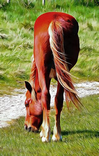 Paard Graceful Grazing