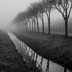 Dike in the fog by Joerg Keller