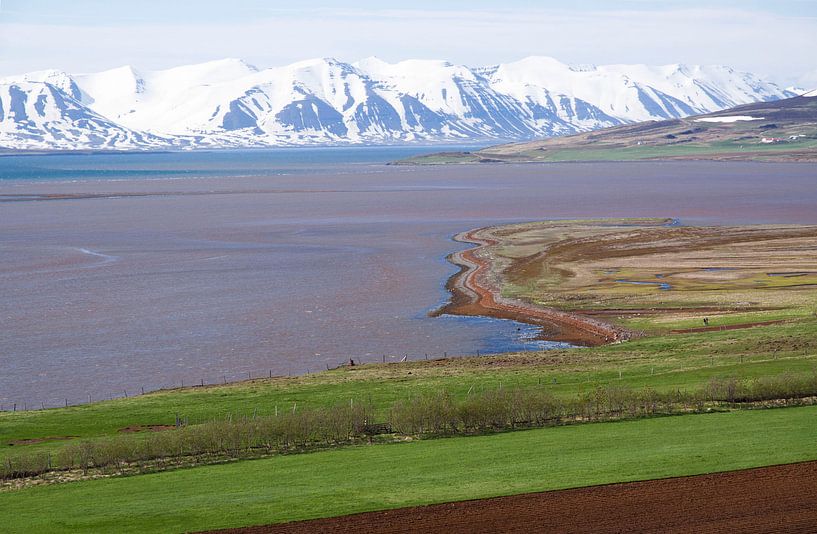 Kleur en vorm in het landschap von Veronie Hulleman