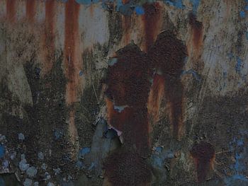 Autowrack mit Rost 3