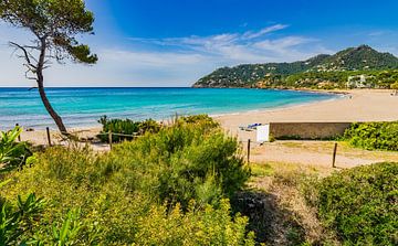 Mallorca strand van Canyamel baai, mooie kust, Spanje Balearen van Alex Winter