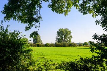 Limburgs Doorkijkje: Zomer in Bergen van Kristof Leffelaer