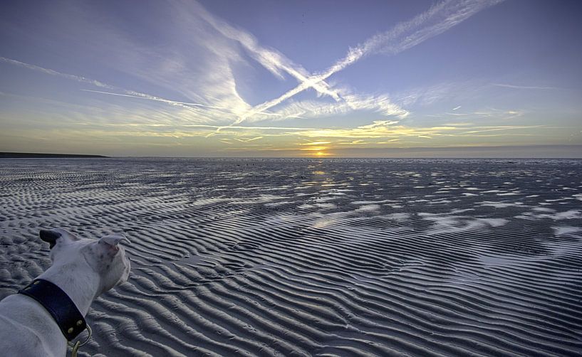 Zonsondergang Harlingen tijdens eb par Sidney Portier