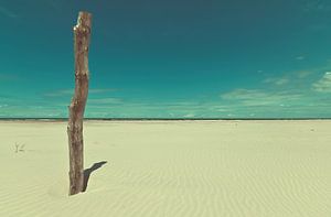 Poteau en bois sur la plage