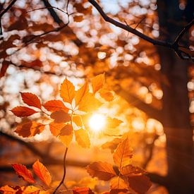 Herbstblätter im Sonnenlicht V4 von drdigitaldesign