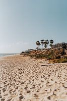 Südportugal | Strand | Palmen | Meer
