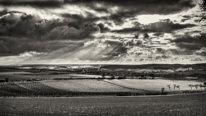 Fromberg by Rob Boon