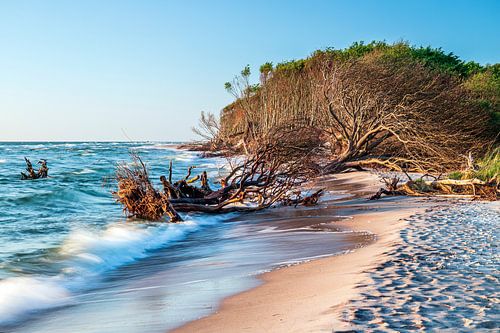 ongerept kustlandschap aan de Oostzee