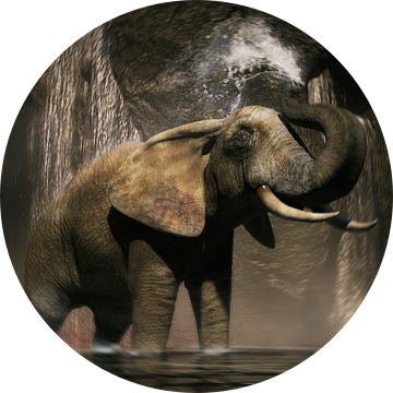 Een olifanten douche van Arjen Roos