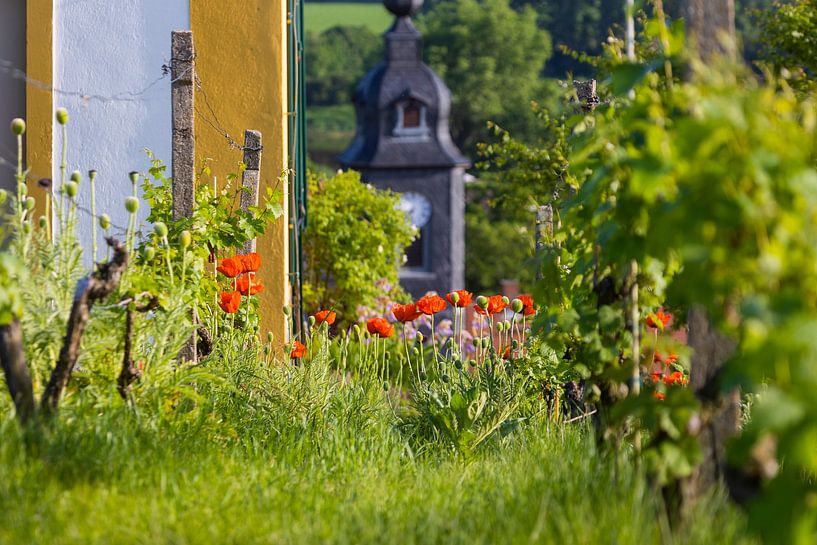 Diesbar-Seußlitz van Sylvio Dittrich