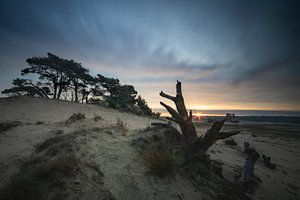 Vitesse d'obturation longue Kootwijkerzand sur Peter Haastrecht, van