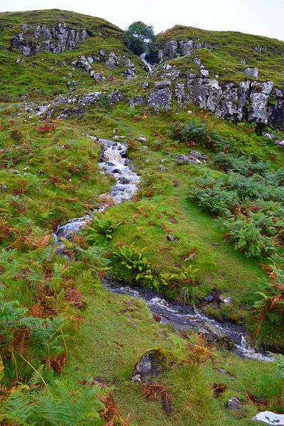 Waterval in groene heuvel op Isle of Skye, Schotland van Studio LE-gals