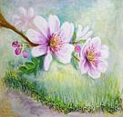 Kersenbloesems van Iris Holzer Richardson thumbnail