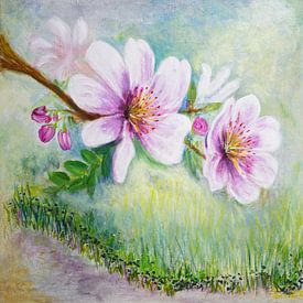 Kersenbloesems van Iris Holzer Richardson