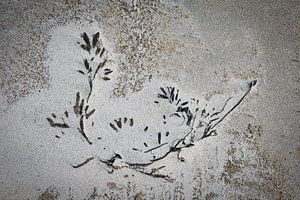 échoué sur la plage sur Ed Dorrestein