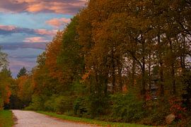Autumn In The Netherlands by Brian Morgan
