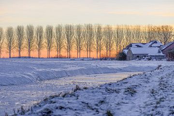 winters platteland van Tania Perneel