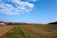 Zonnig panoramisch uitzicht op velden onder blauwe hemel