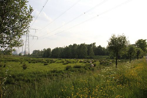 Natuur en energiecentrale
