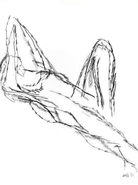 Vrouwelijk naakt liggend met opgetrokken been von Kris Stuurop