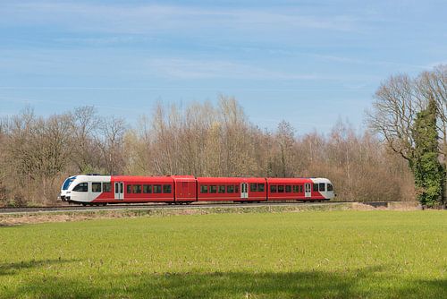 Stoptrein in de Achterhoek nabij Winterswijk 