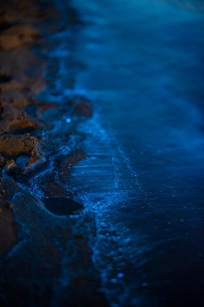 sea spark by Sjon de Mol