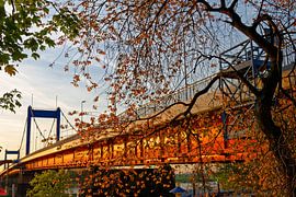 Friedrich-Ebert-Brücke in Duisburg (7-39832)