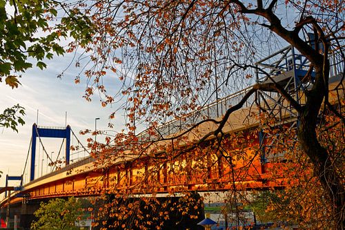 Pont Friedrich-Ebert à Duisburg (7-39832)