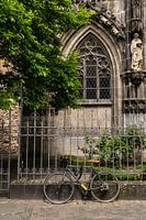 bicyclette contre la clôture