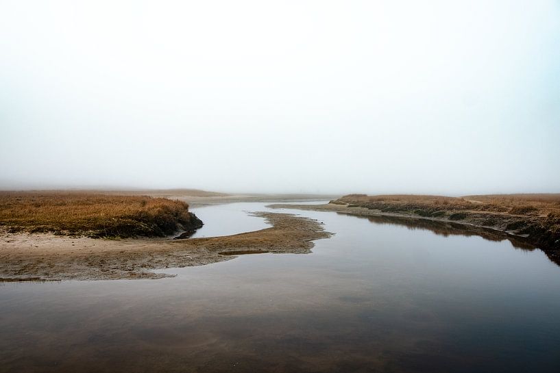 Natuurpark de Slufter gehuld in de mist V | Een reis over Waddeneiland Texel von Roos Maryne - Natuur fotografie