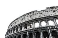 Colosseum III (Seamless White) van Joram Janssen thumbnail