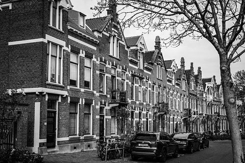 Dordtse Herenhuizen op de Rozenhof