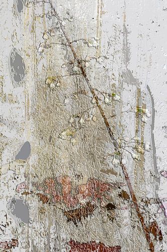 White little flowers on rough background