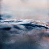 In the Water van Maria Kitano