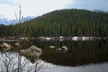 Bear Lake van gea strucks