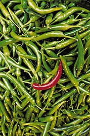 PEPERS van Gerrit de Heus