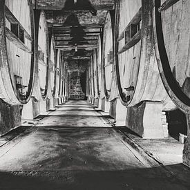 authentic wine cellar with old wine barrels by eric van der eijk