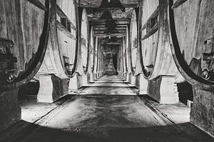 cave à vin authentique avec de vieux fûts de vin