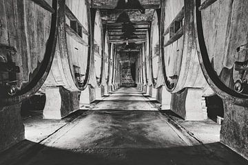 authentic wine cellar with old wine barrels by eric van der eijk