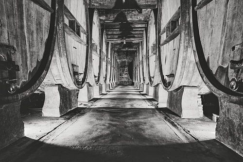 authentischer Weinkeller mit alten Weinfässern