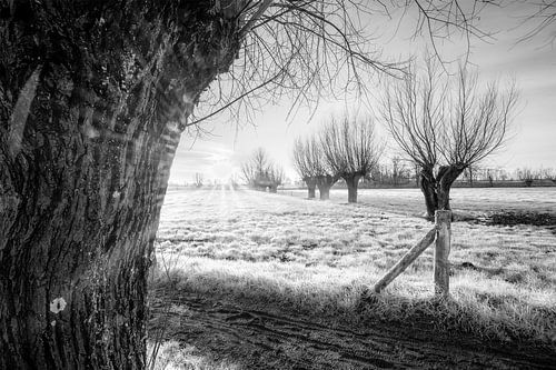 Zonsopgang Oude Kale