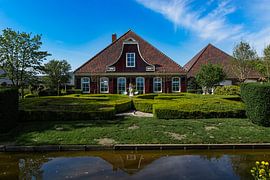 Wijderwormer by Anett Kazimierska