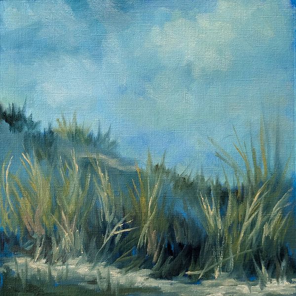 Dünenlandschaft von Stephanie van der Klooster