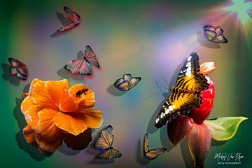Vlinders van Michel Van Rhee