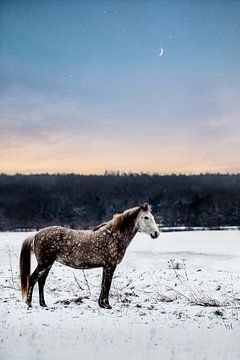 Wintermaan van Tina Leonarda