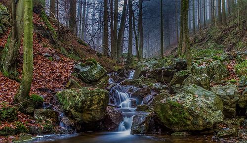 Waterval in de Belgische Ardennen