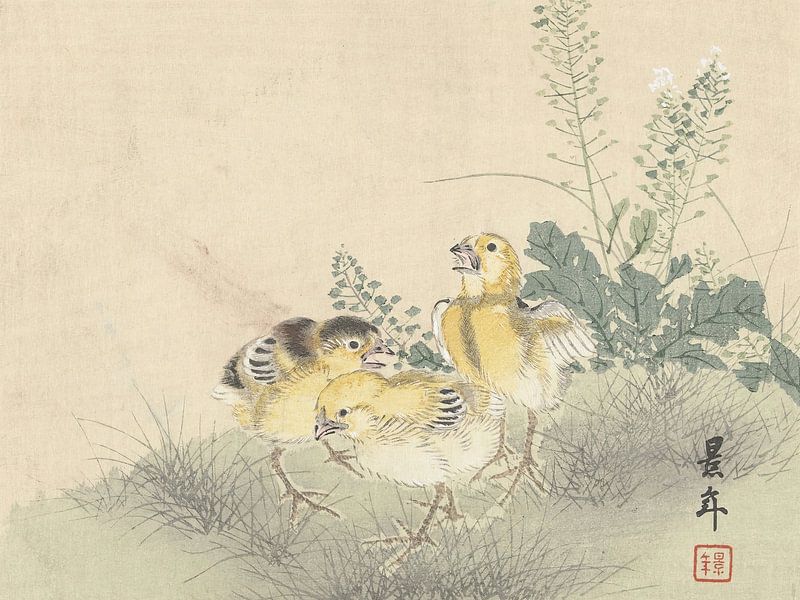 Imao Keinen – Drei Küken (1892–1911) von Peter Balan